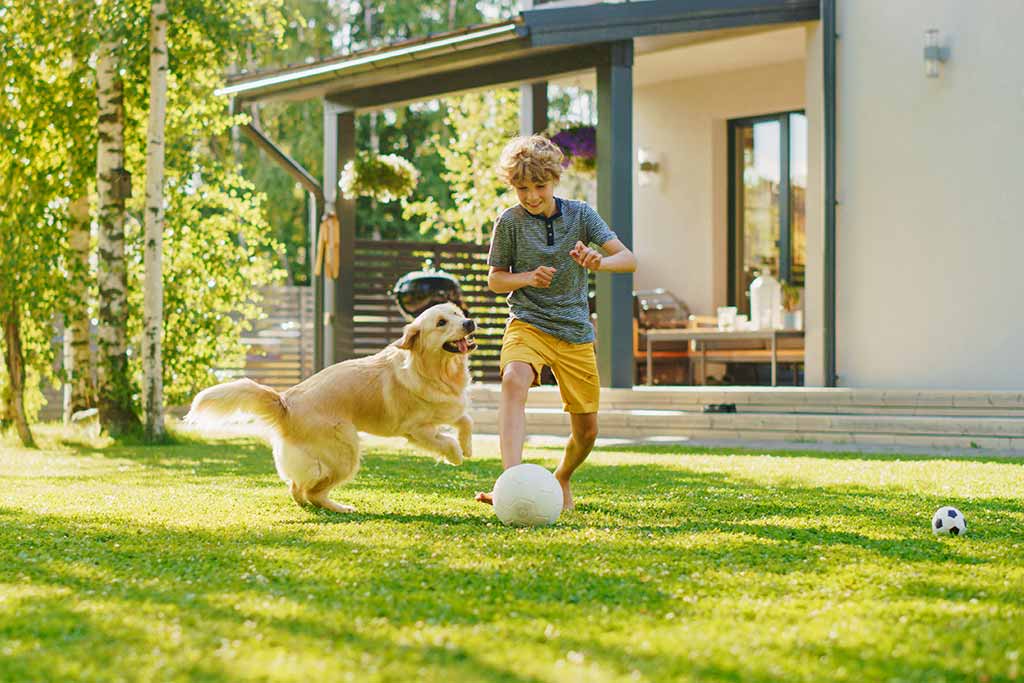 Hunde Haftpflicht Versicherung
